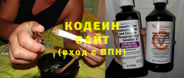 индика Нея