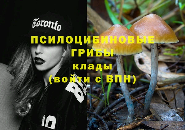 индика Нея