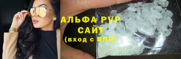 индика Нея