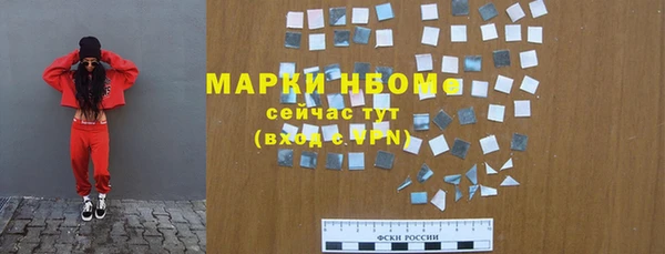 индика Нея
