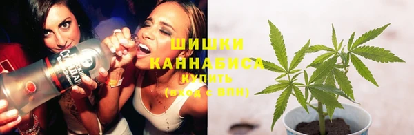 индика Нея