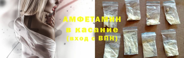 индика Нея