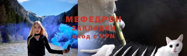 индика Нея