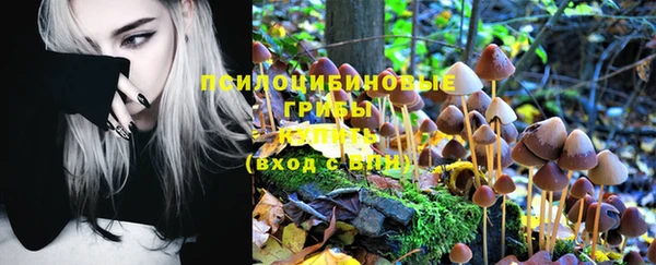 индика Нея