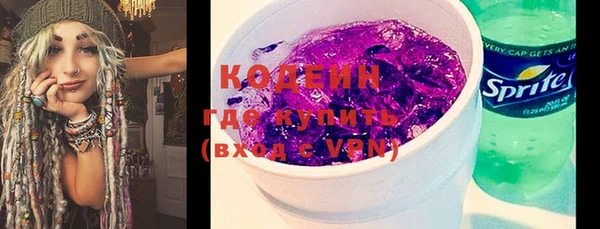 индика Нея