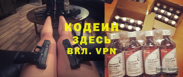 индика Нея
