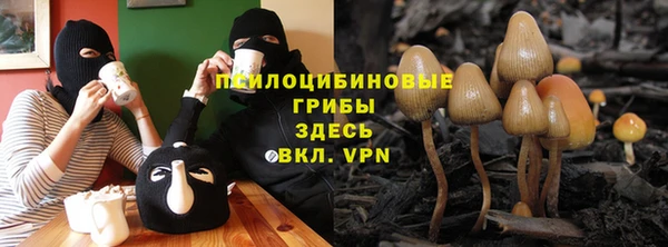 индика Нея