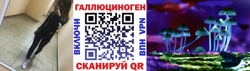 мориарти какой сайт  Бавлы  Псилоцибиновые грибы прущие грибы 